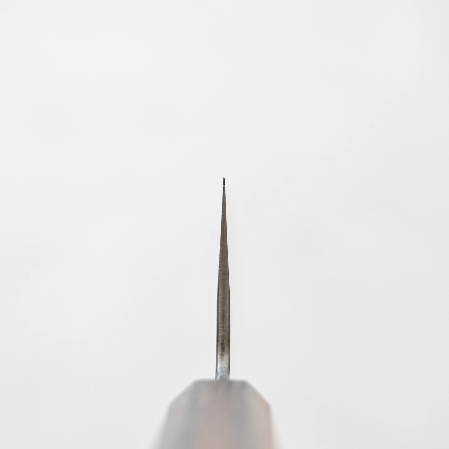 Choil shot of tall gyuto 