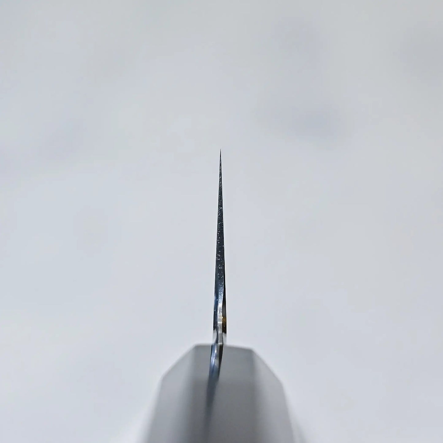 Choil shot of a Japanese knife showing thin blade cross-section.