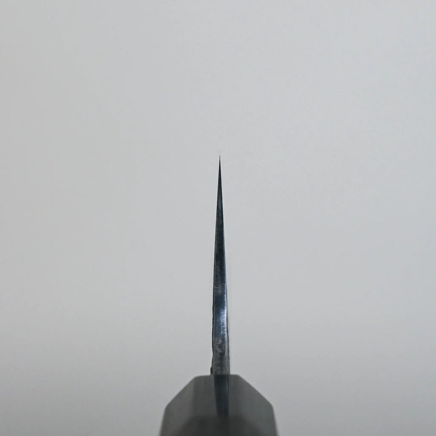 Choil shot of a Japanese knife with the pointed tip and flat edge of a kiritsuke gyuto blade visible.