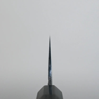 Choil shot of a Japanese knife with the pointed tip and flat edge of a kiritsuke gyuto blade visible.