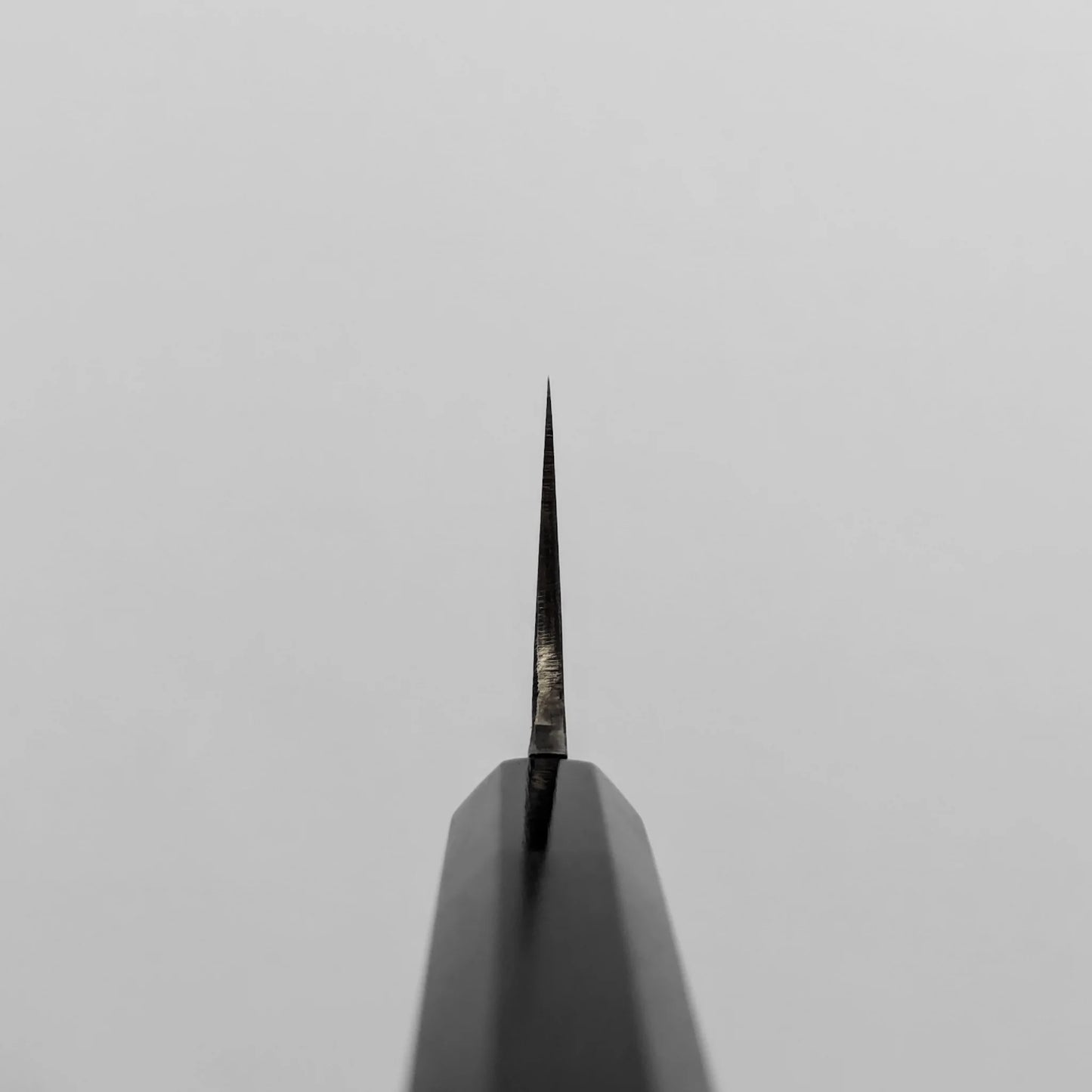 Choil shot of gyuto knife in white background
