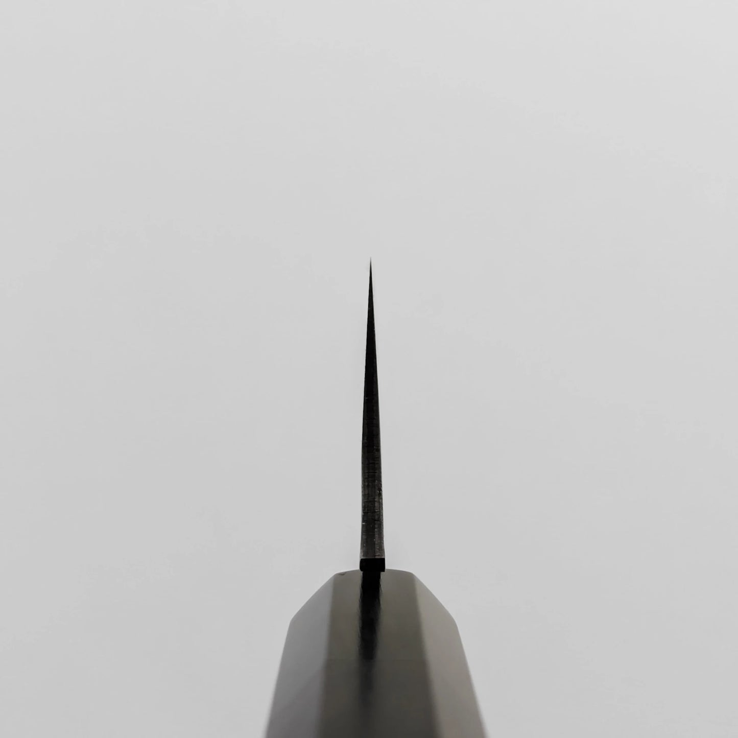 Choil shot of gyuto knife