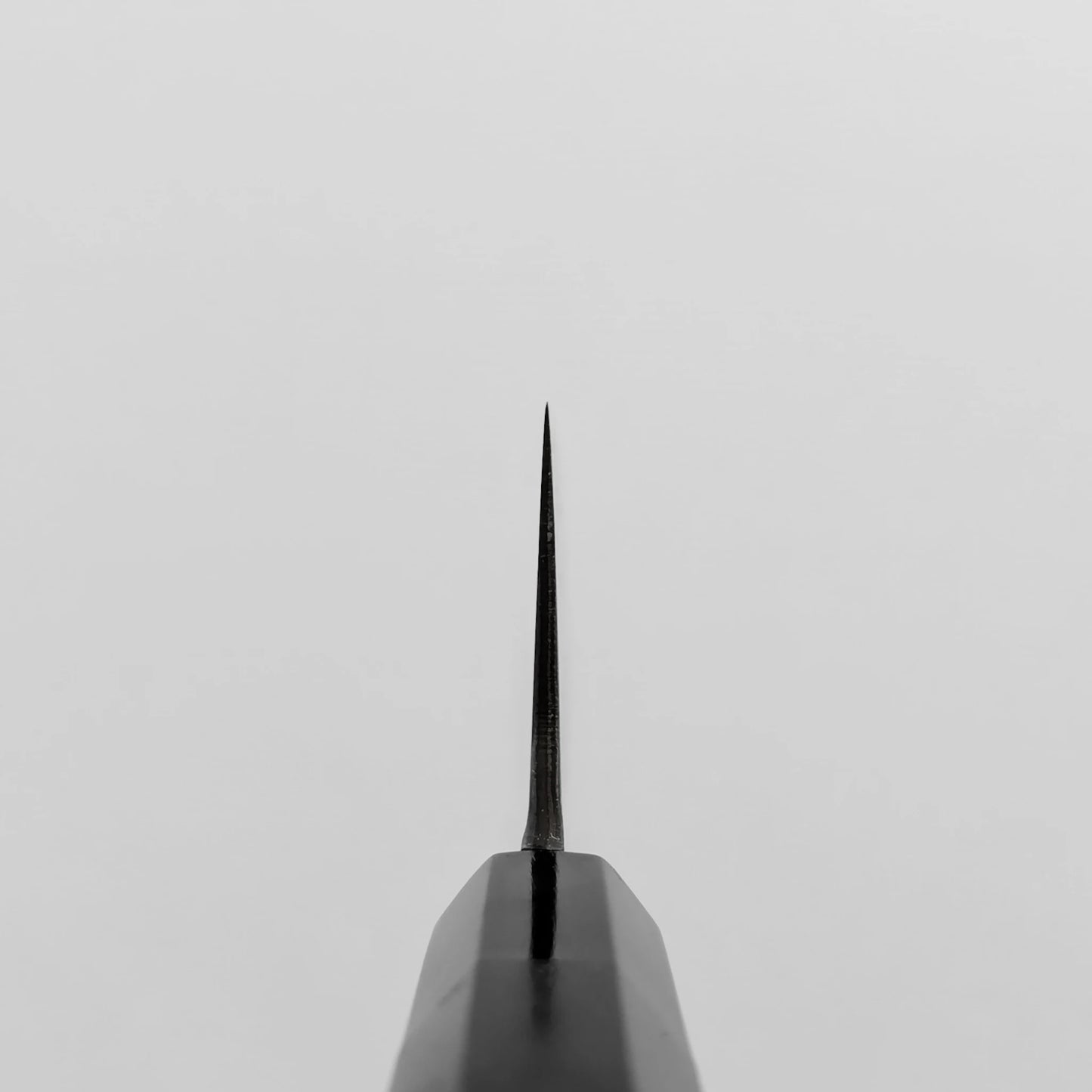 Choil shot of the gyuto knife