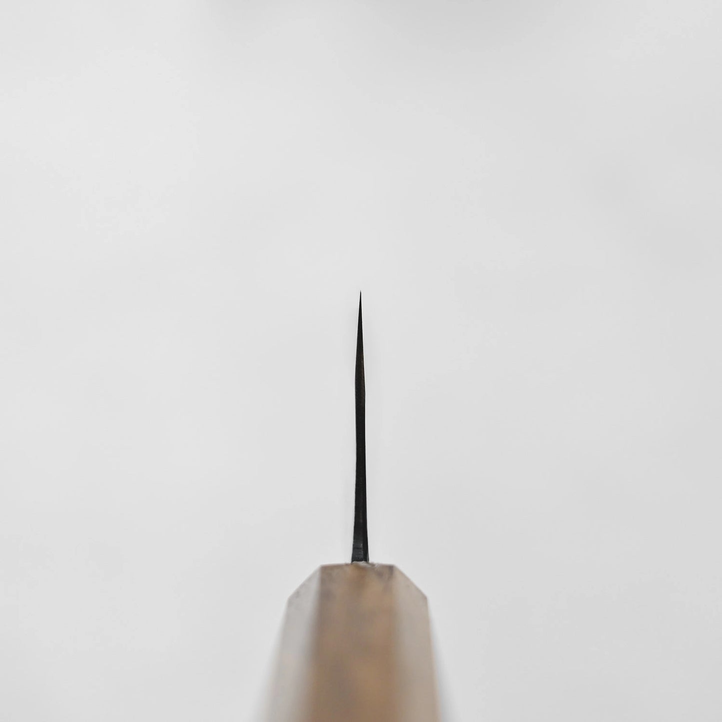 Choil shot of Kyohei Shindo gyuto