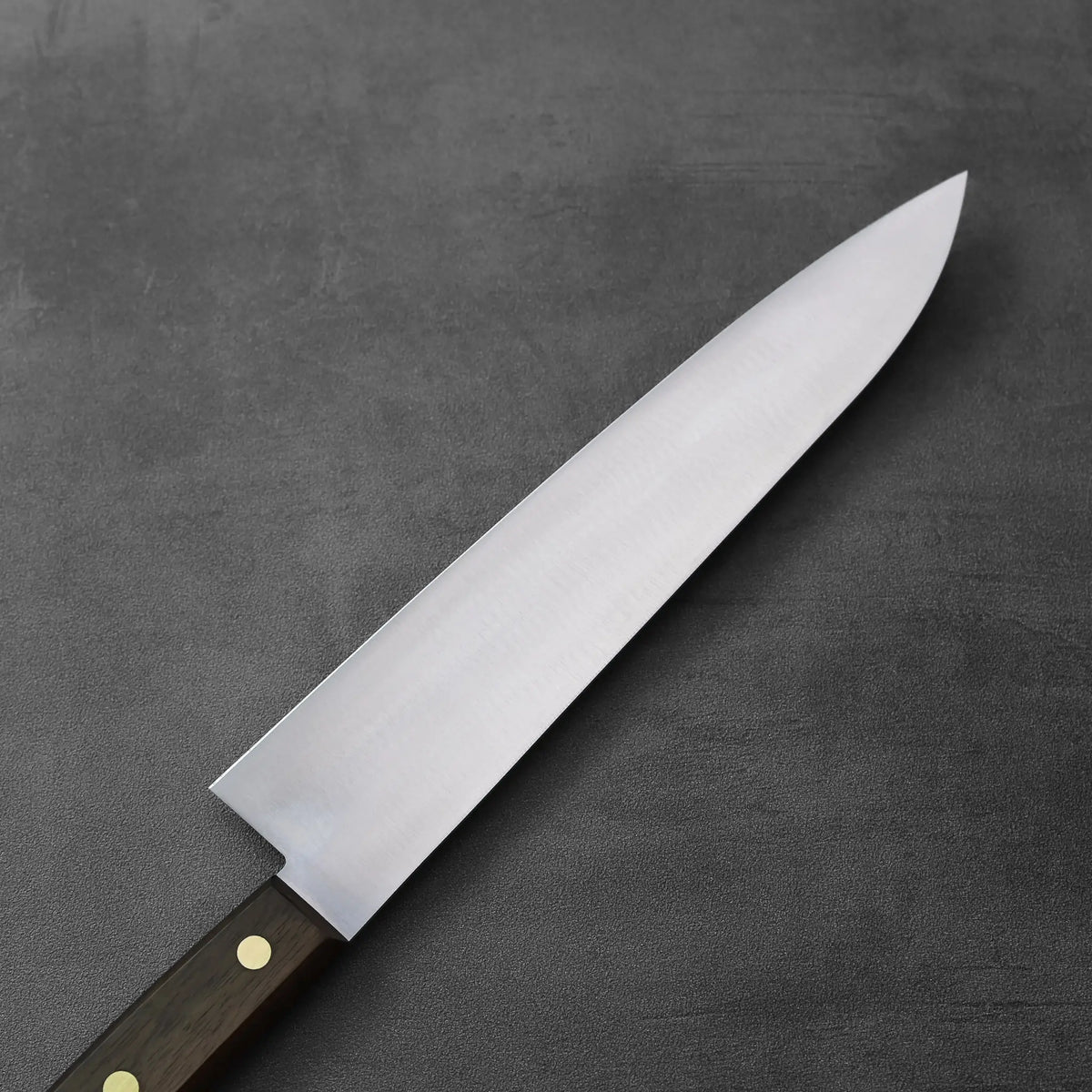 Masahiro rosewood nihonko gyuto 240mm