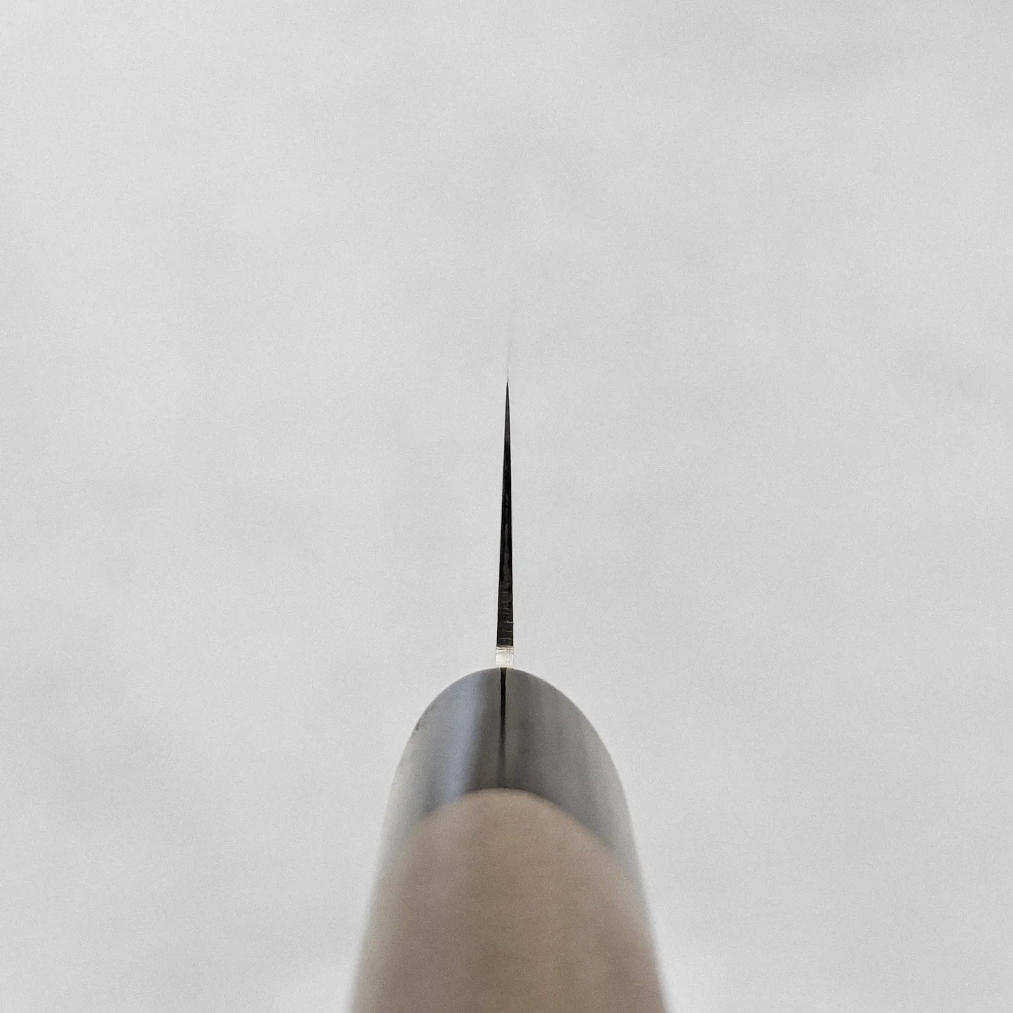 Close-up of the tip and saya of a sujihiki, focusing on blade shape and subtle details.
