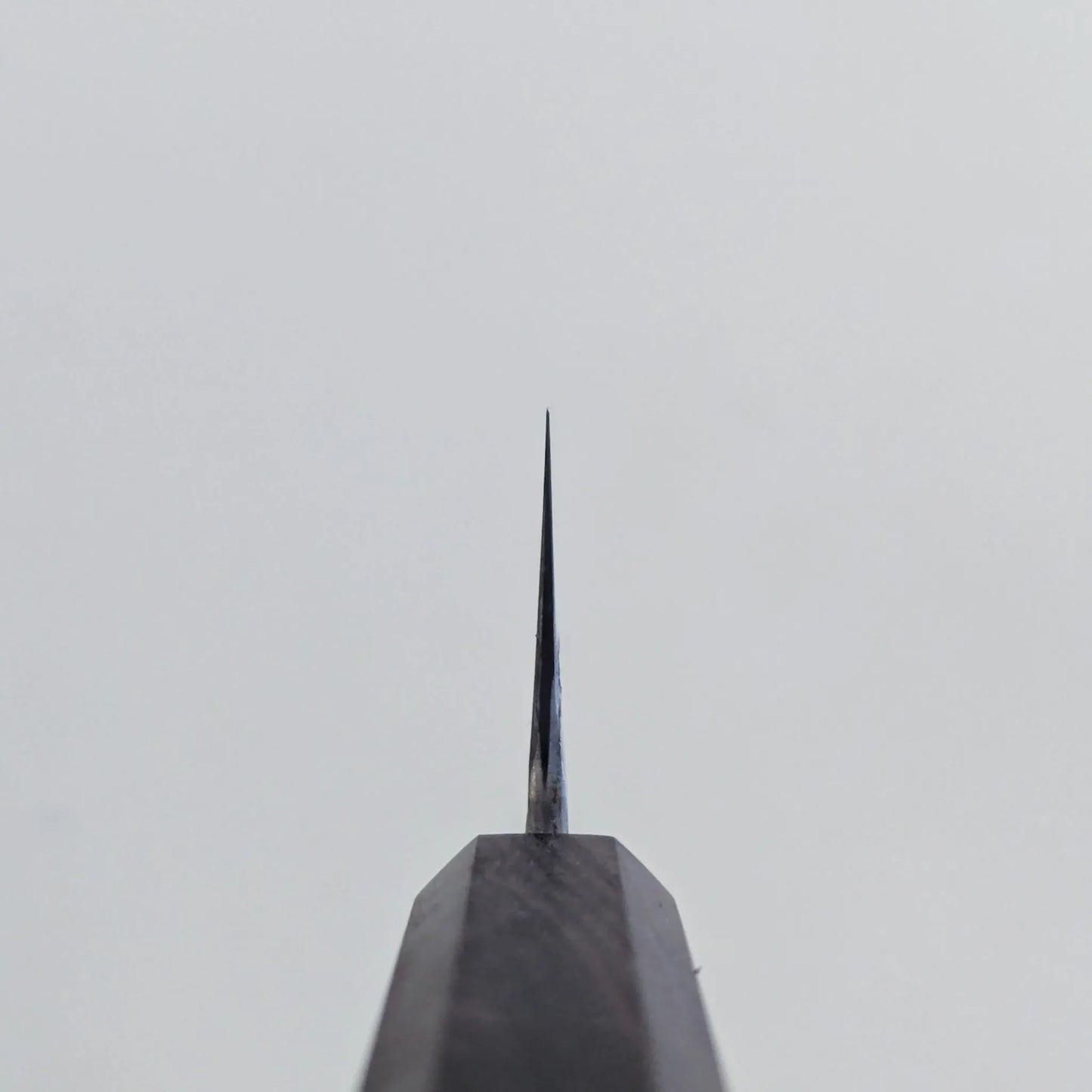 Choil shot of a Miyazaki rentetsu gyuto blade against a plain, light gray background. The image emphasizes the thinness and craftsmanship of the blade’s tip.