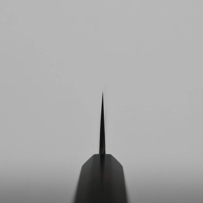 Choil shot of a hakata knife, centered vertically with a blurred handle and a plain grey background.