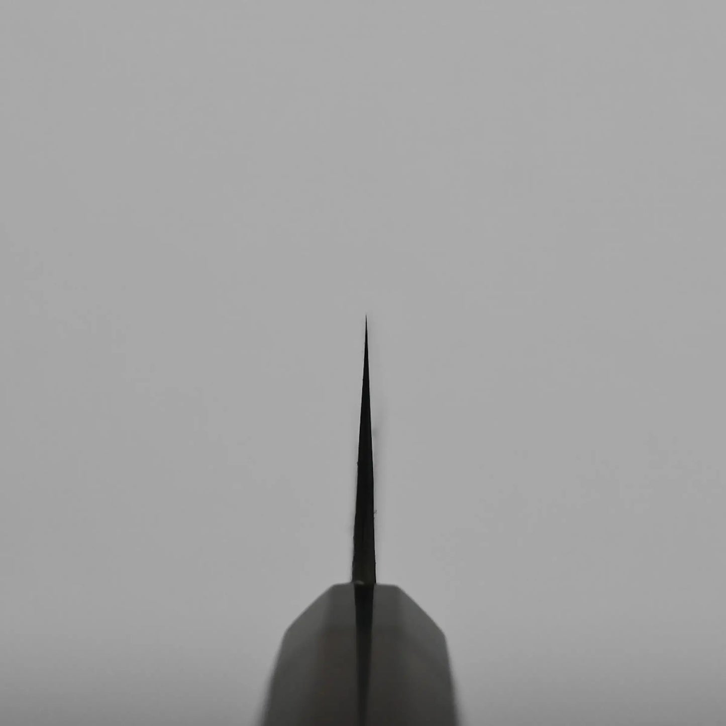 Choil shot of a kiritsuke gyuto, photographed from the front against a plain, light gray background. The blade is centered and points upward.