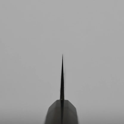 Choil shot of a kiritsuke gyuto, photographed from the front against a plain, light gray background. The blade is centered and points upward.