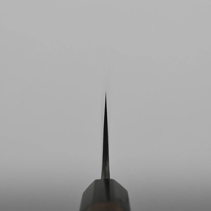 Choil shot of a Japanese vegetable knife seen from the front, with the sharp edge centered vertically against a plain, light gray background.