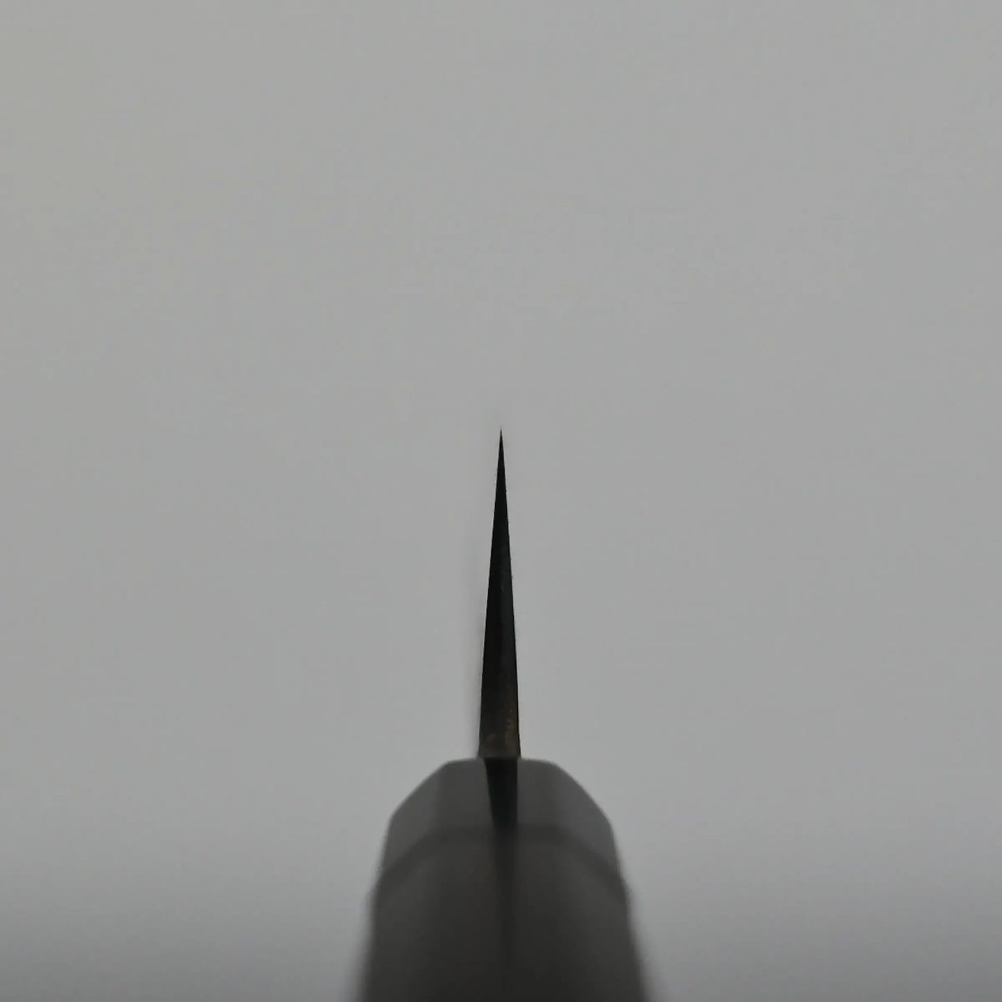 Choil shot of a sujihiki knife against a plain, light gray background, viewed from the handle straight toward the edge.