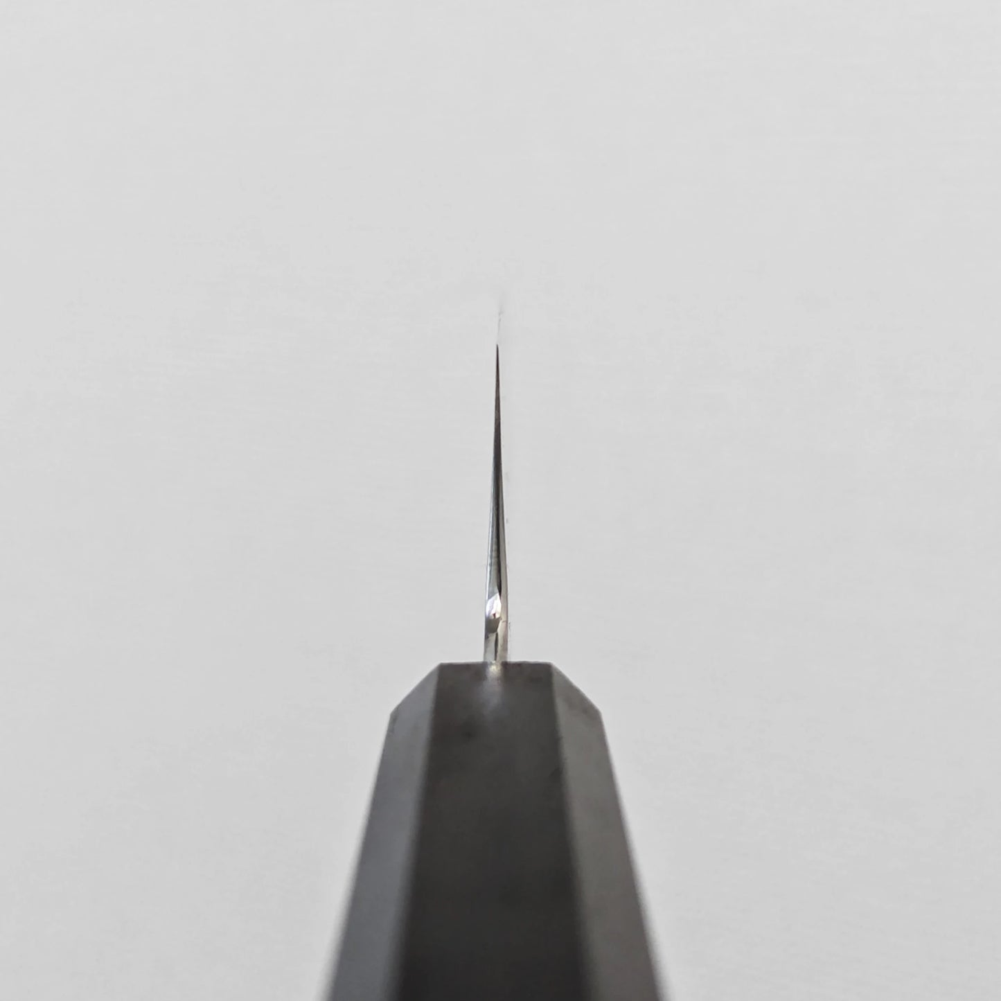 Choil shot of a santoku knife; photographed to emphasize the grind transition