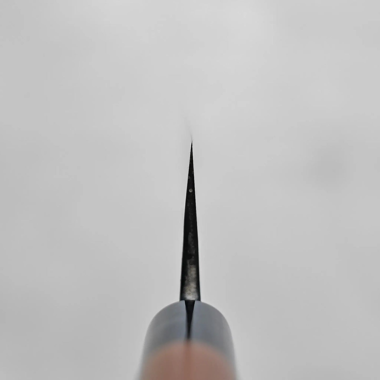Daisuke Nishida kurouchi shirogami#1 funayuki 210mm