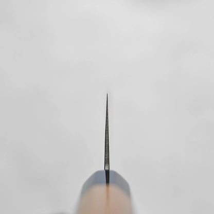 Choil shot of a nakiri Japanese knife, with only the tip visible in detail.
