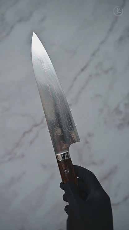 Takeshi Saji rainbow damascus aogami#2 gyuto 210mm