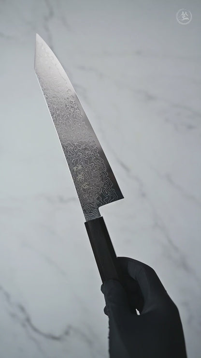Hatsukokoro Ryuhyo SG2 damascus kiritsuke gyuto 210mm