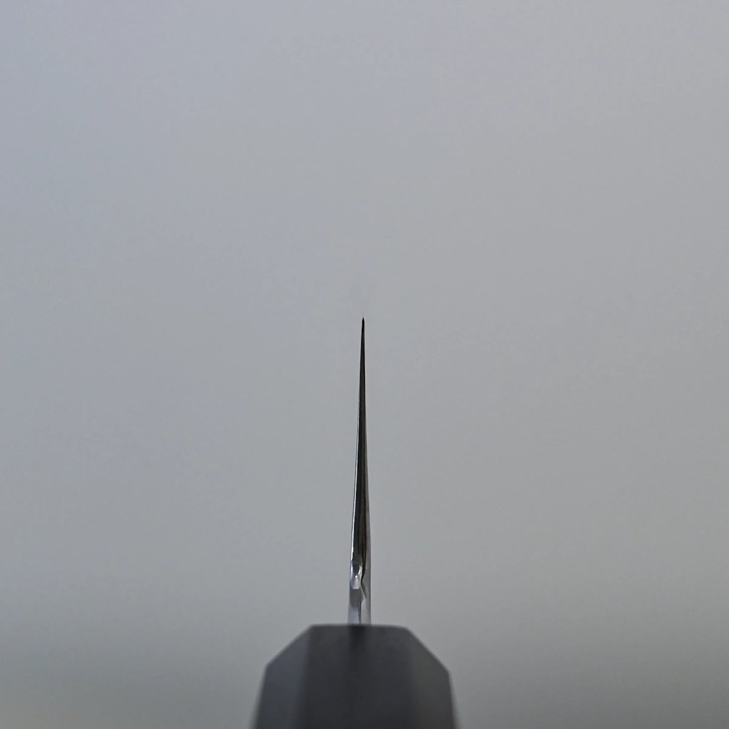 Choil shot of a gyuto knife blade, positioned vertically against a plain, slightly gradient gray background. The blade is centered and the handle is partially visible at the bottom of the image.