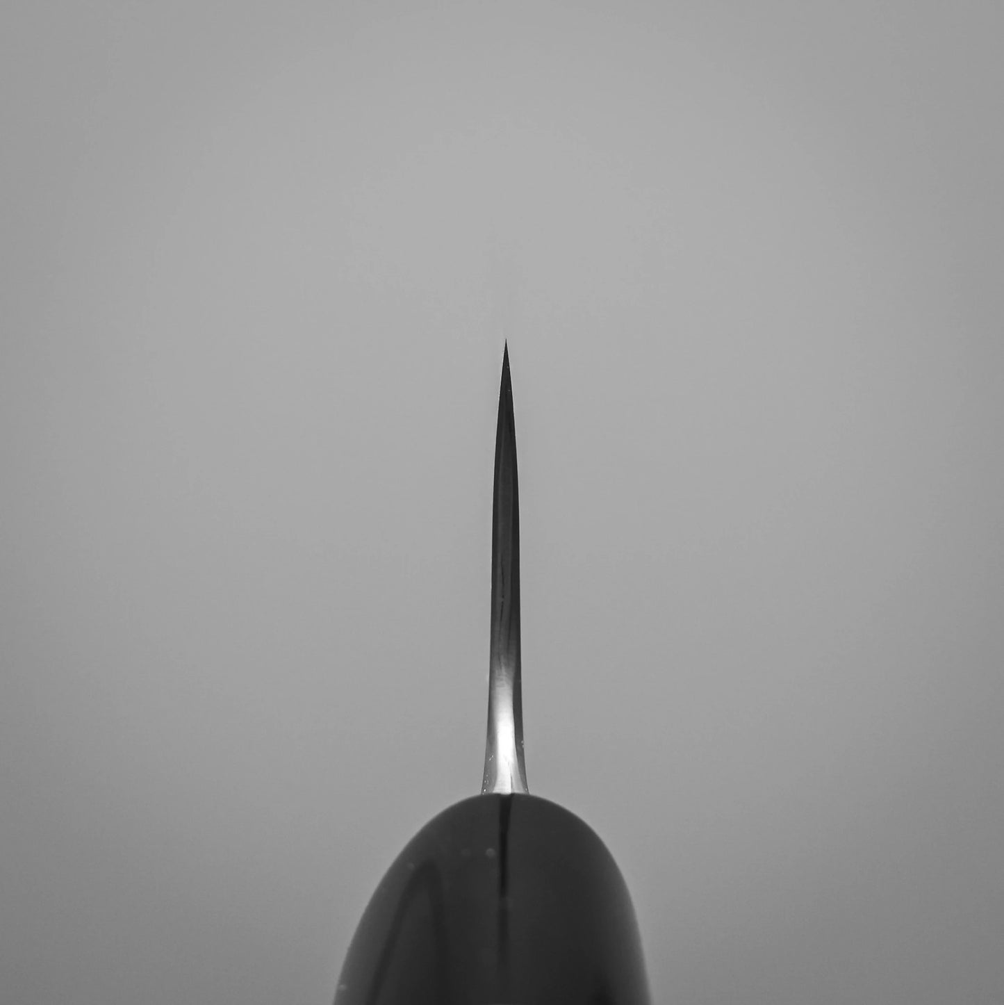 Choil shot of a Japanese chef's knife 