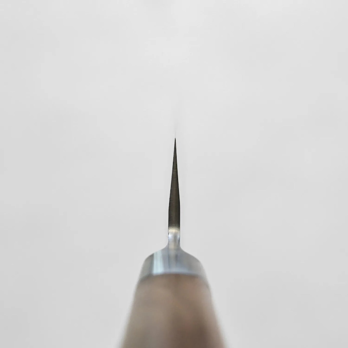 Choil shot of honesuki knife