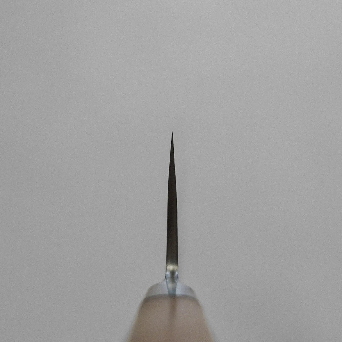 Tadafusa nashiji aogami#2 kiritsuke gyuto 210mm