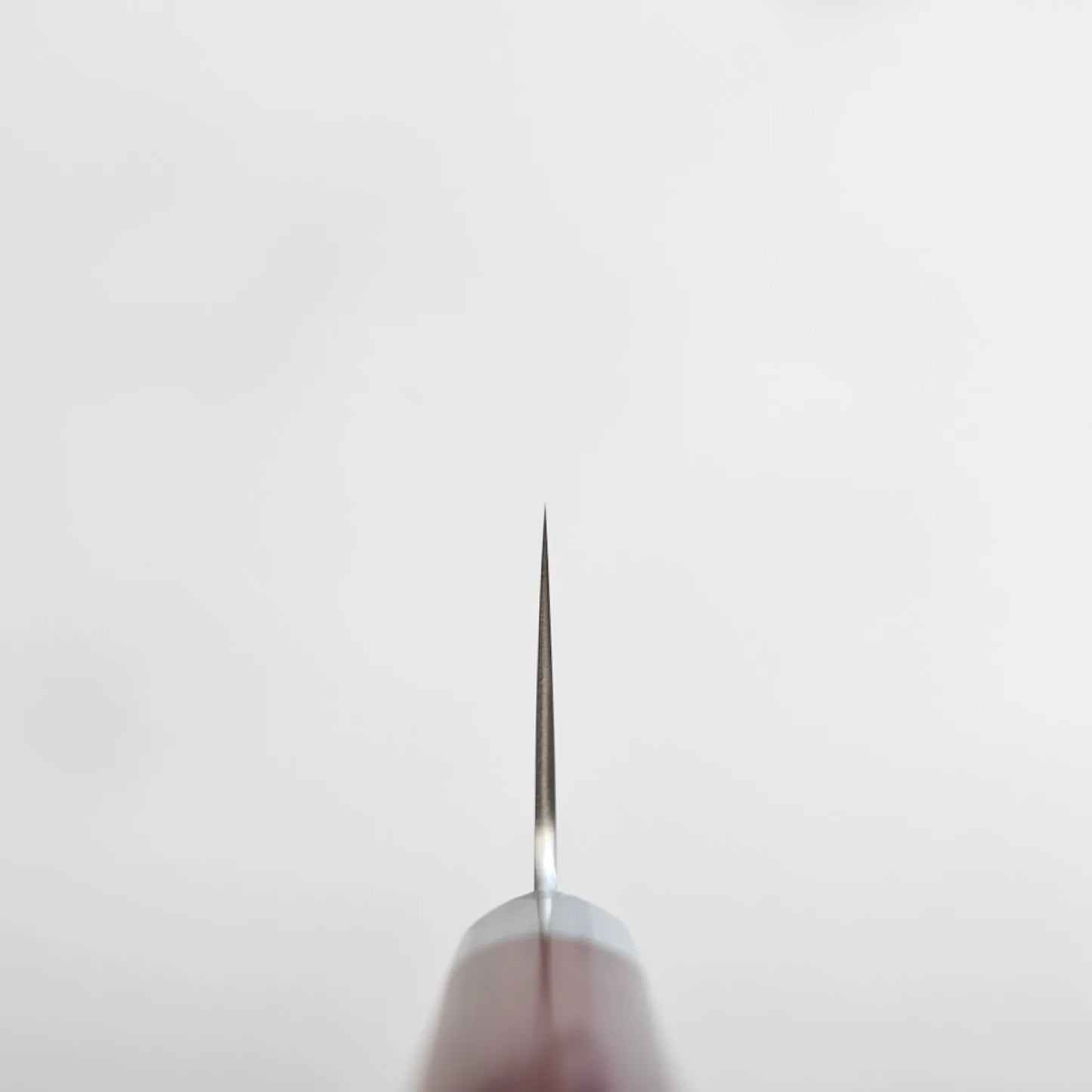 Choil shot of Takamura gyuto 