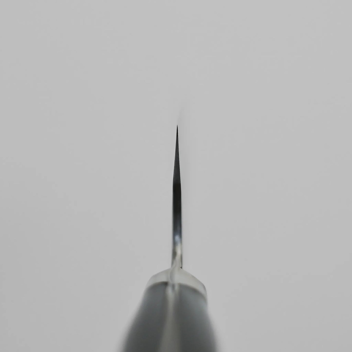 Close-up of a Teruyasu Fujiwara Maboroshi shirogami#1 gyuto 240mm blade, photographed from the tip with the edge facing the camera, set against a plain light gray background.