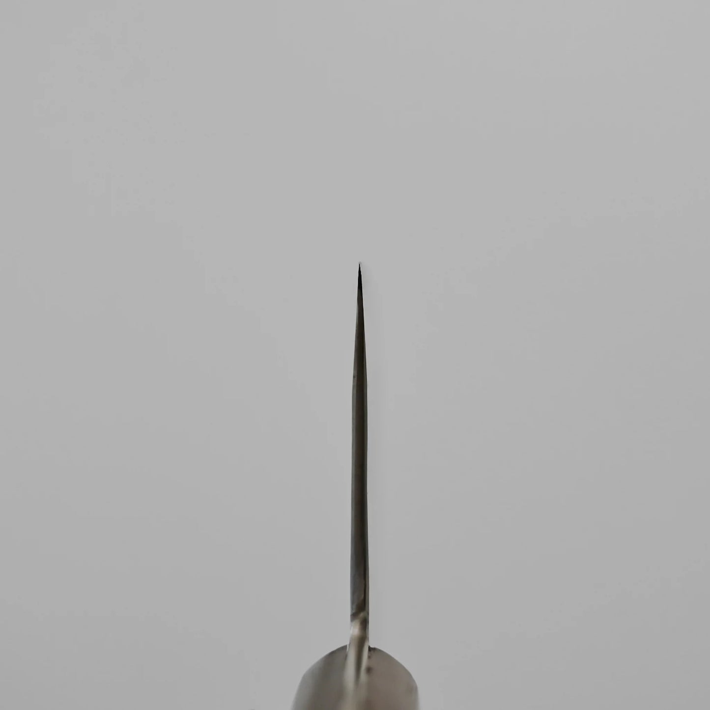 Close-up of the pointed tip of a Teruyasu Fujiwara nashiji shirogami#1 chuka bocho 210x90mm blade, set against a plain light grey background.