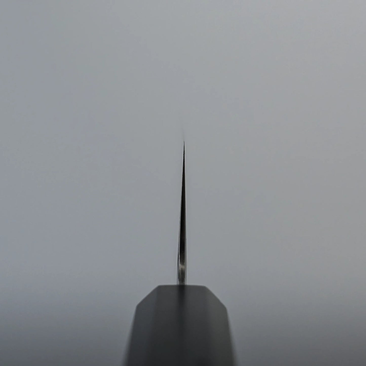 Choil shot of a kiritsuke Japanese chef knife, shown from above with the edge facing the viewer against a plain, light gray background. The blade appears thin and sharp, tapering to a precise point.
