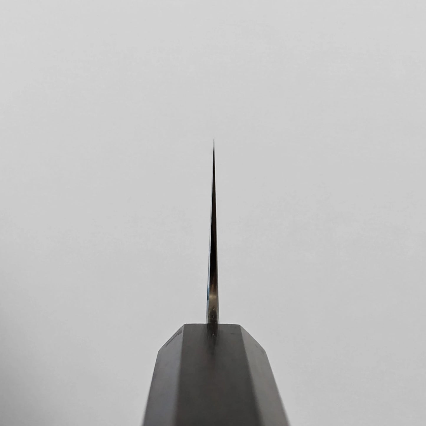 Choil shot of a nakiri knife, photographed to show grind quality and finish.