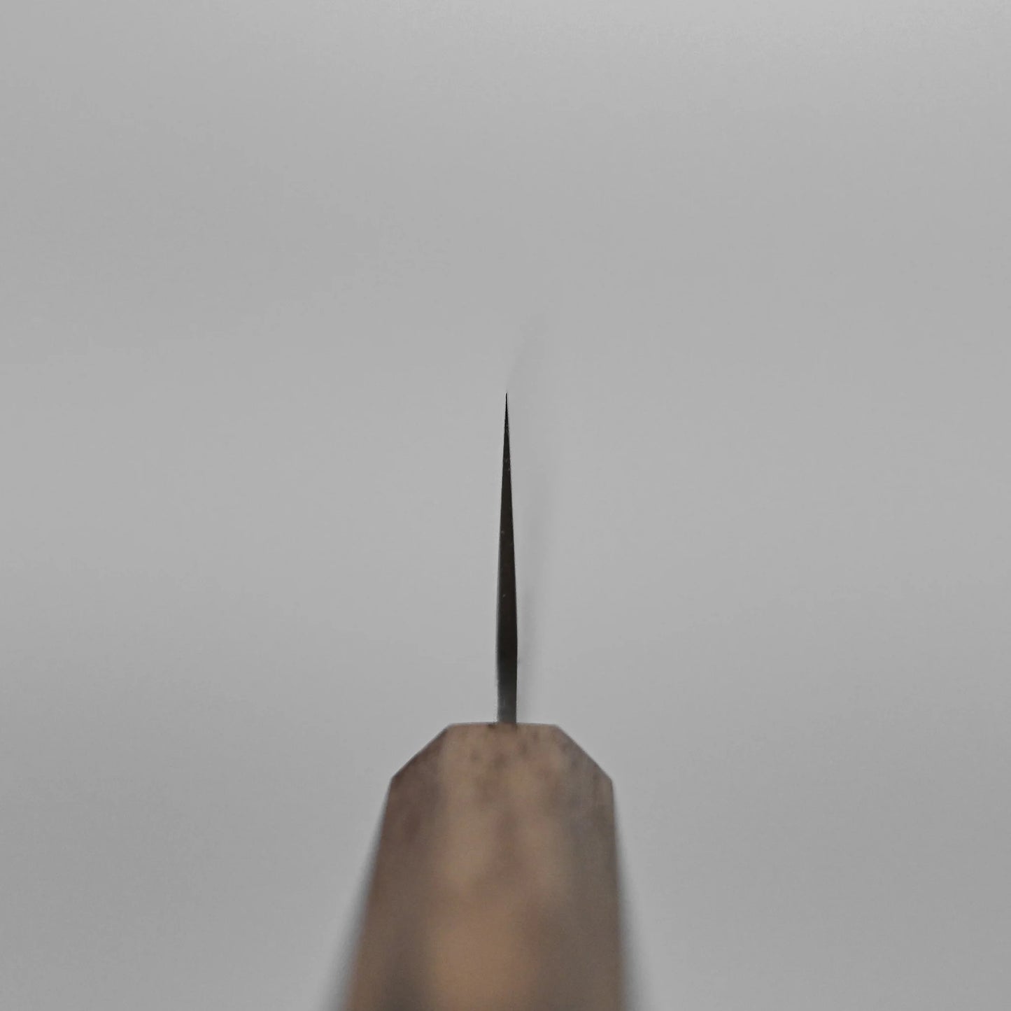 Close-up of the tip of the Tsunehisa nashiji SLD bunka 170mm knife blade shown vertically, its wooden handle at the bottom, against a softly blurred neutral background.