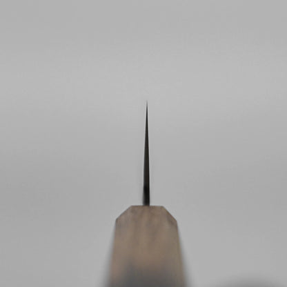 A close-up, straight-on view of the tip of the Tsunehisa nashiji SLD gyuto 210mm blade against a plain, light gray background, focusing on its razor-thin SLD steel point with the handle softly blurred in the foreground.