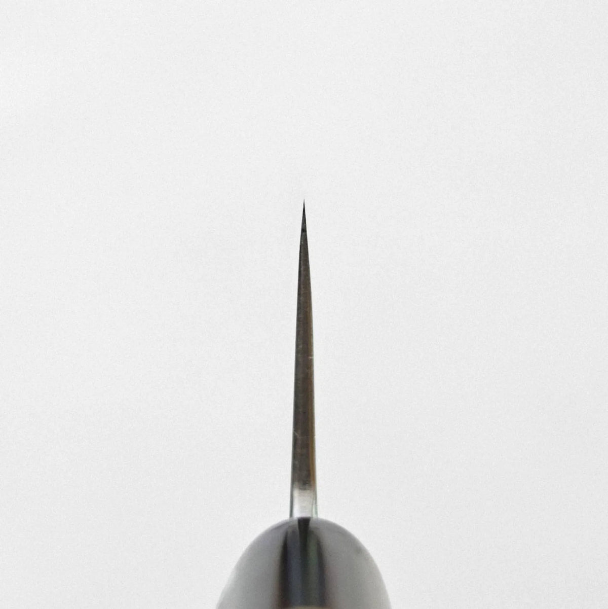 Top-down view of a gyuto, highlighting the tapering profile of its aogami #2 210mm steel blade spine.