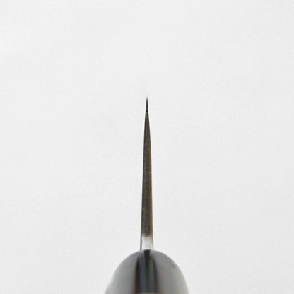 Top-down view of a gyuto, highlighting the tapering profile of its aogami #2 210mm steel blade spine.