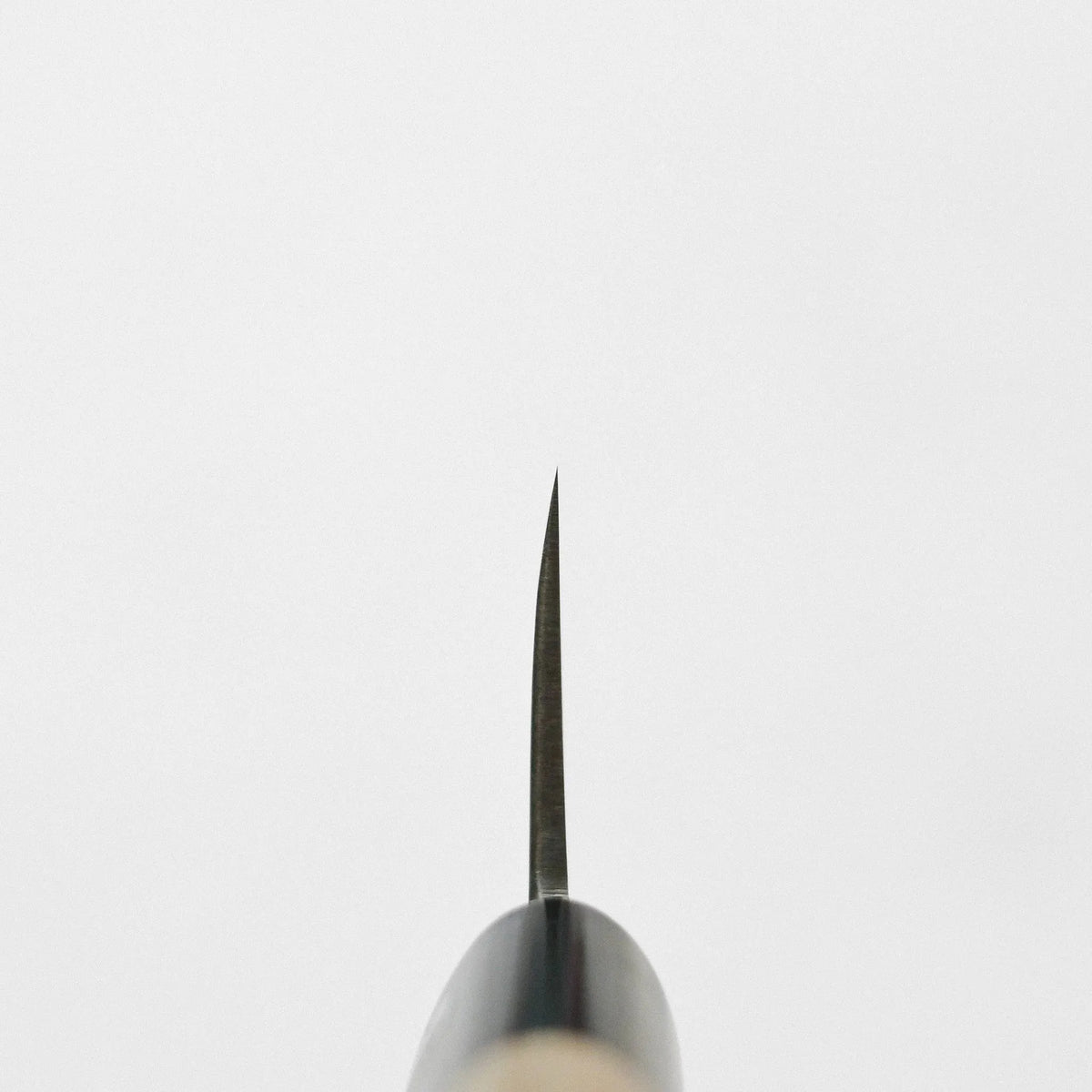 Spine view of a honesuki, showing the thin blade and a cylindrical wood handle.