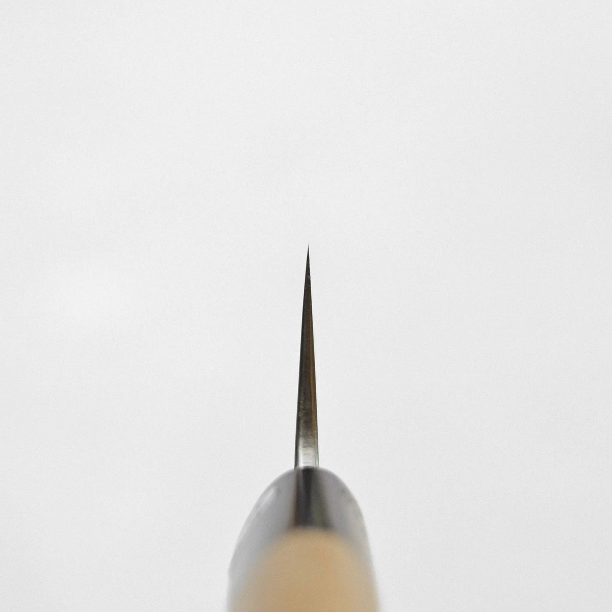 End-on view of a sujihiki 270mm blade tip showing the beveled edge and rounded wooden handle.