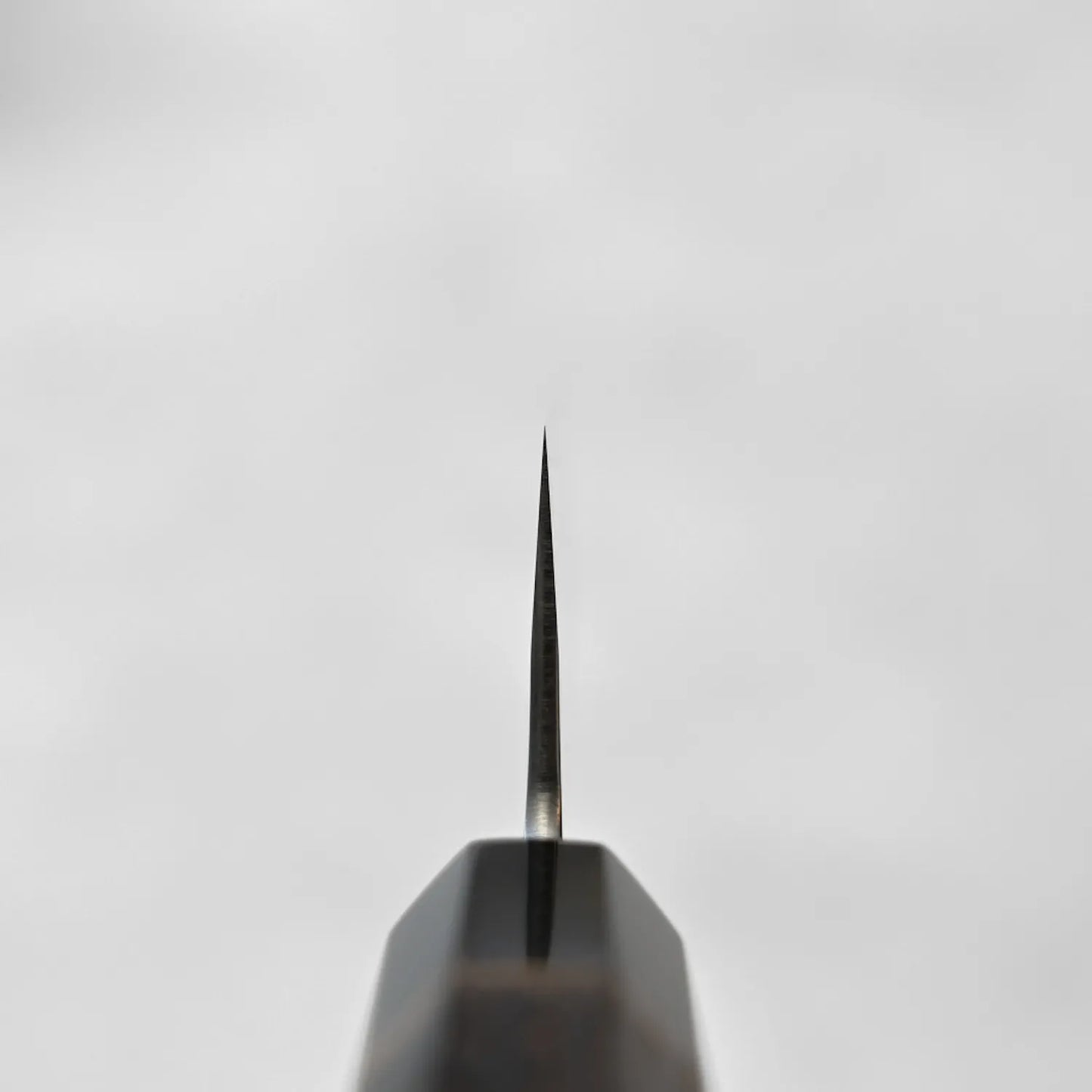 Choil shot of Yoshikane gyuto 
