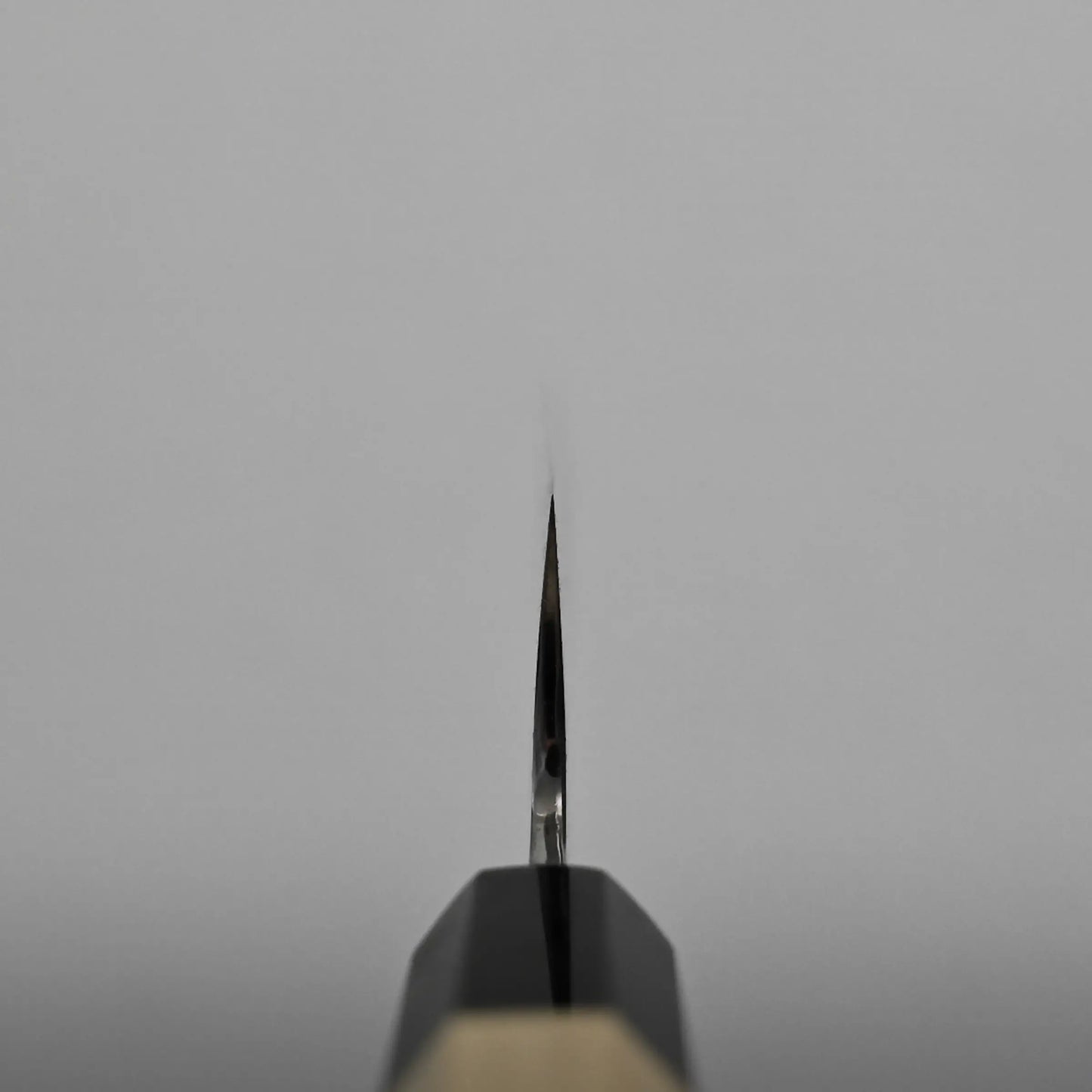 Choil shot of a gyuto knife, positioned vertically against a plain, light gray background, with the sharp edge clearly in focus and the rest of the handle blurred.