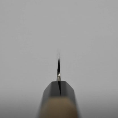 Choil shot of petty knife positioned upright, resembling the sharpness of a petty knife, set against a plain, light gray background.