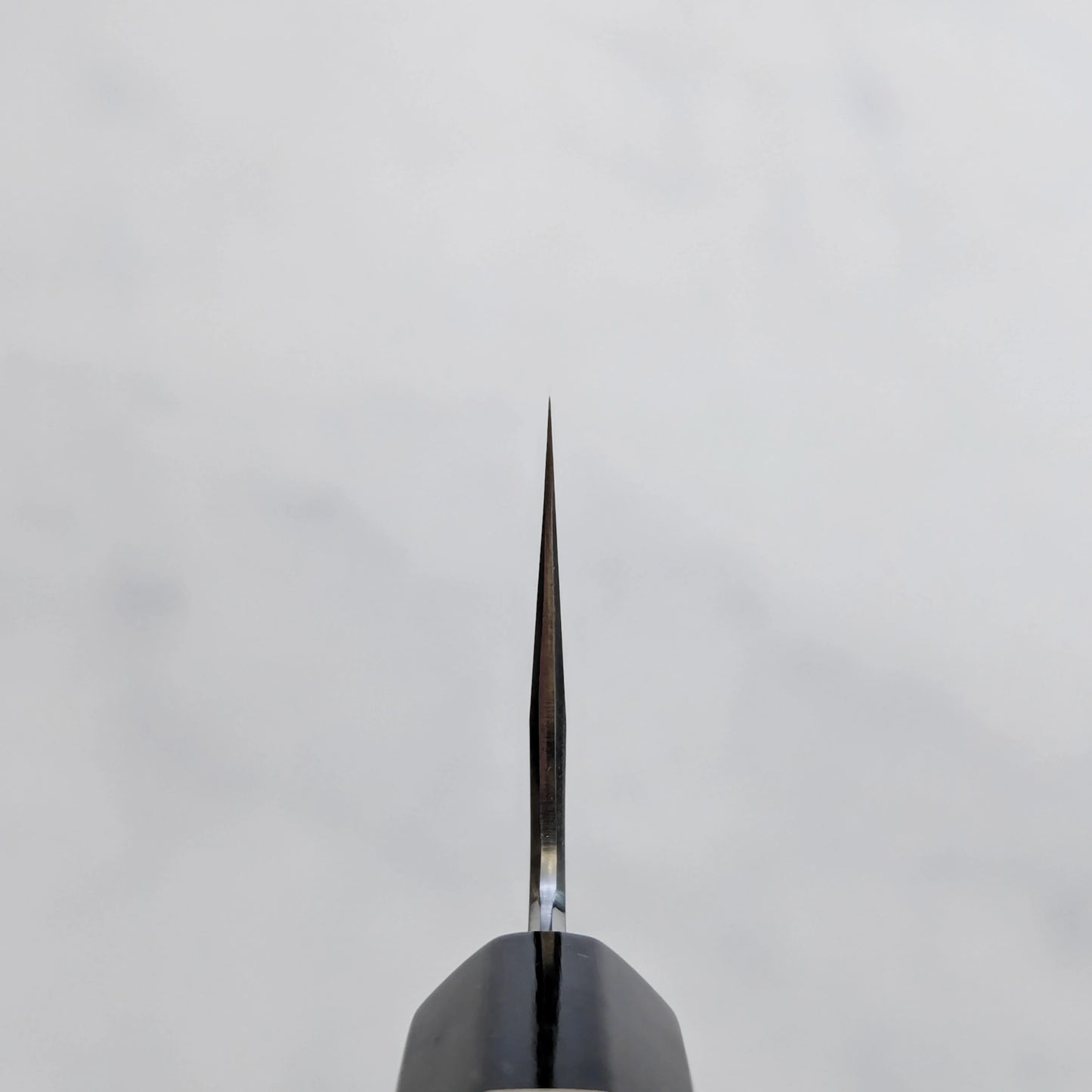 Choil shot of Tanaka AS wide bevel gyuto