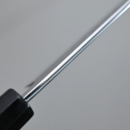 Close-up view of the spine against a plain, light grey background.