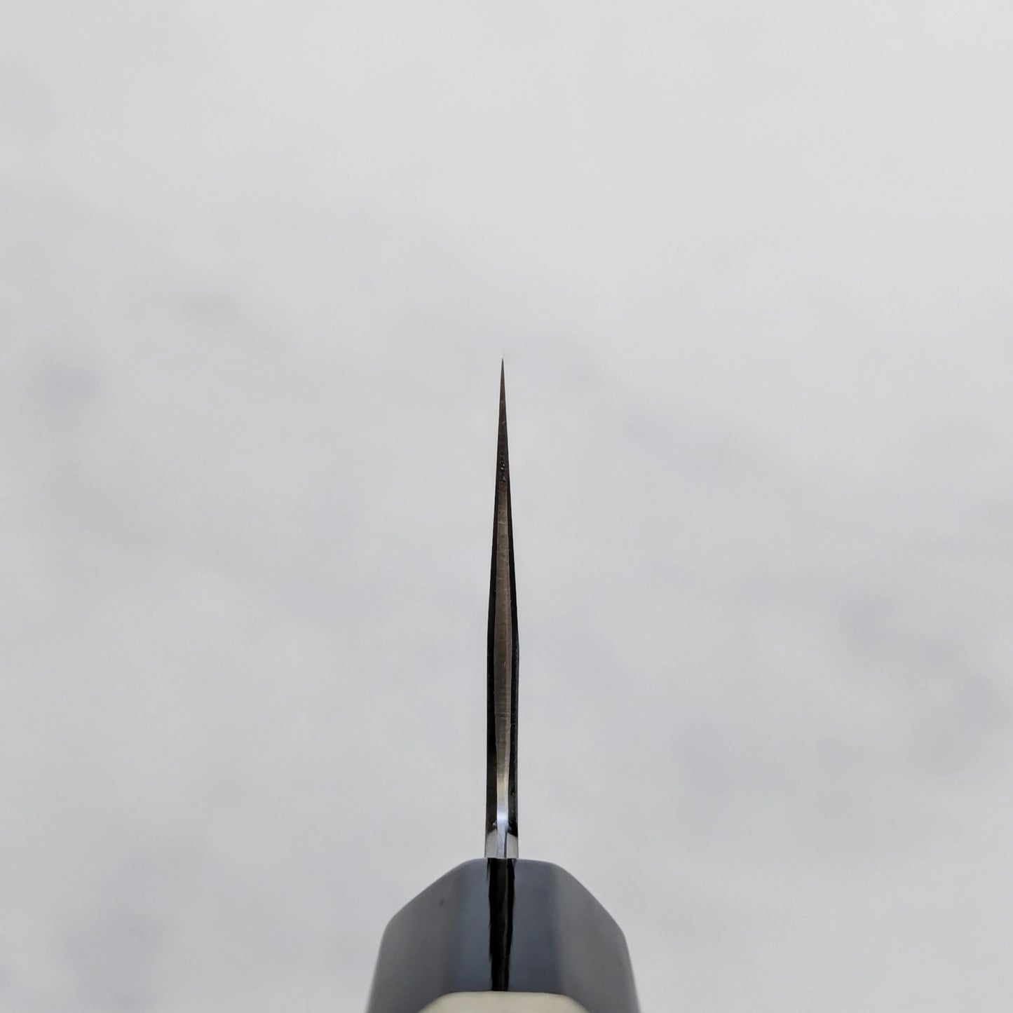 Choil shot of shirogami#1 wide bevel gyuto knife