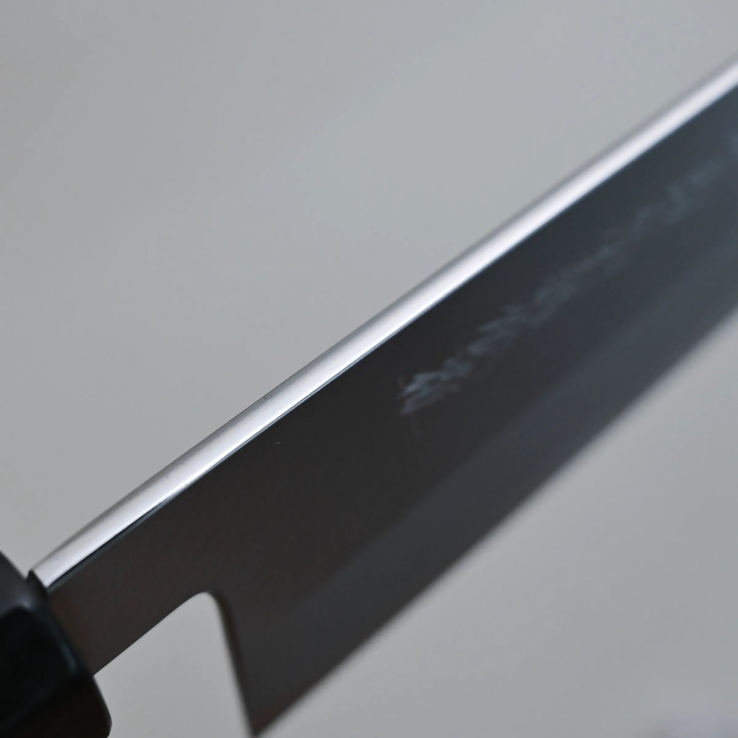 Close-up of the the spine against a plain, light background.