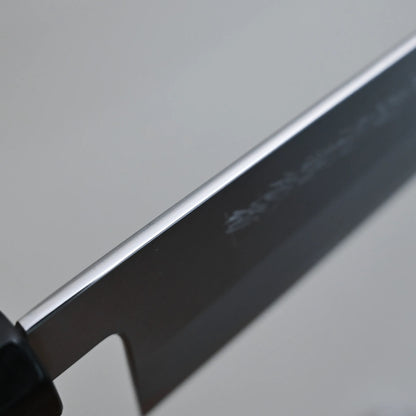 Close-up of the the spine against a plain, light background.