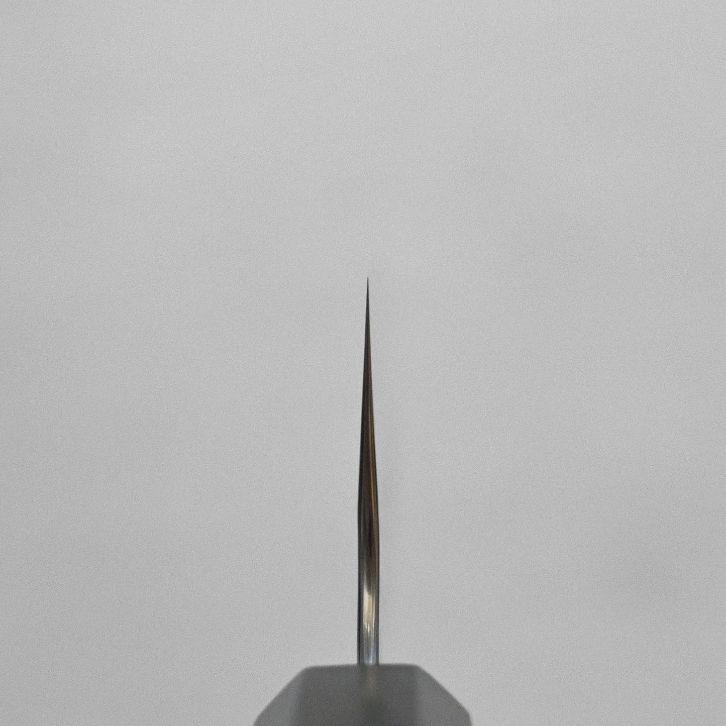 Close-up of a single needle tip, resembling a gyuto knife blade.