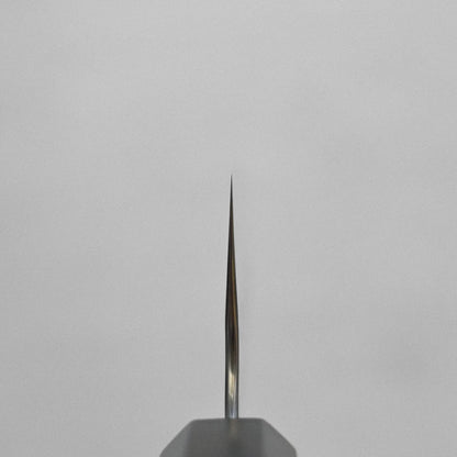 Close-up of a single needle tip, resembling a gyuto knife blade.