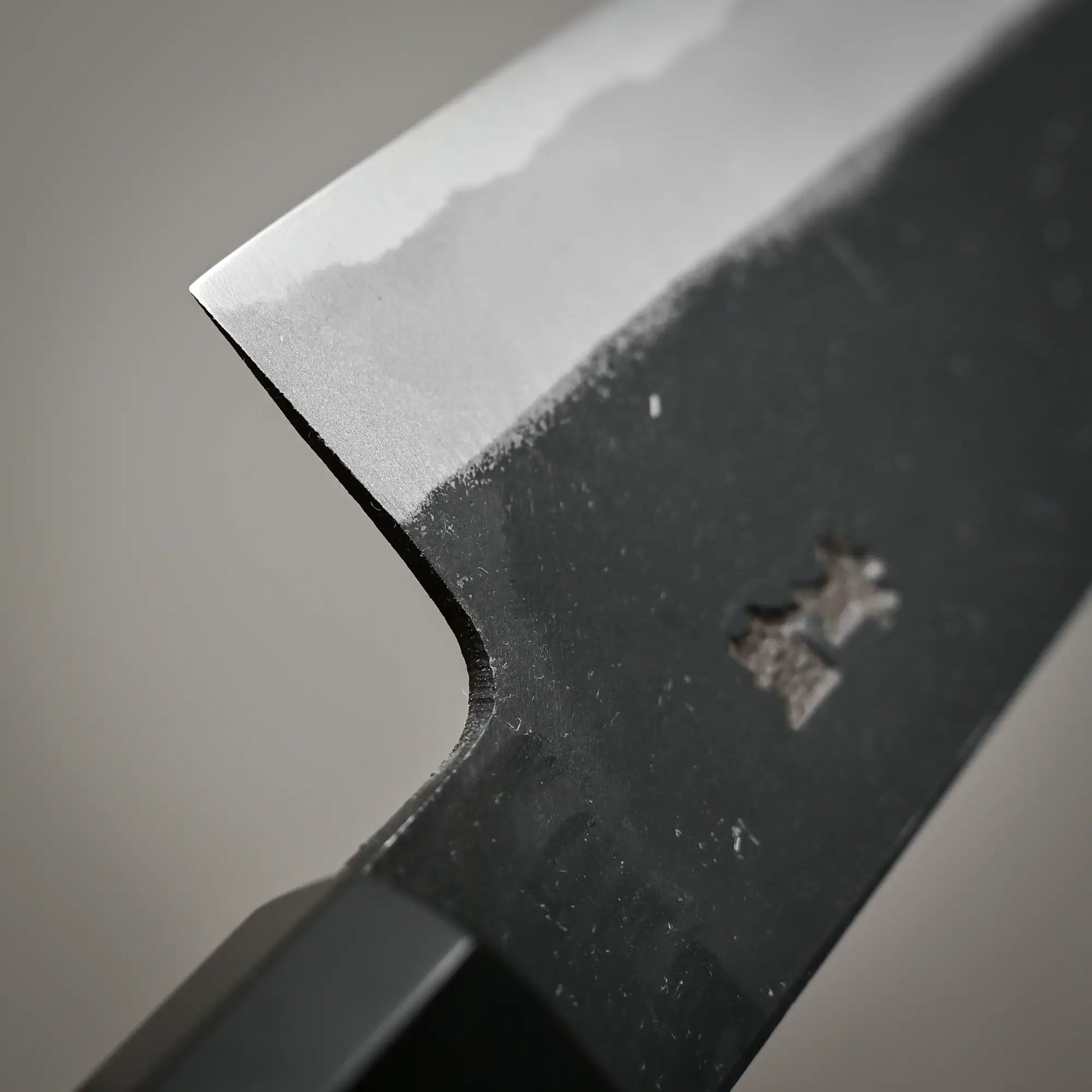 Close-up view of the choil of Hatsukokoro Aosagi kurouchi aogami#2 gyuto knife 210mm 