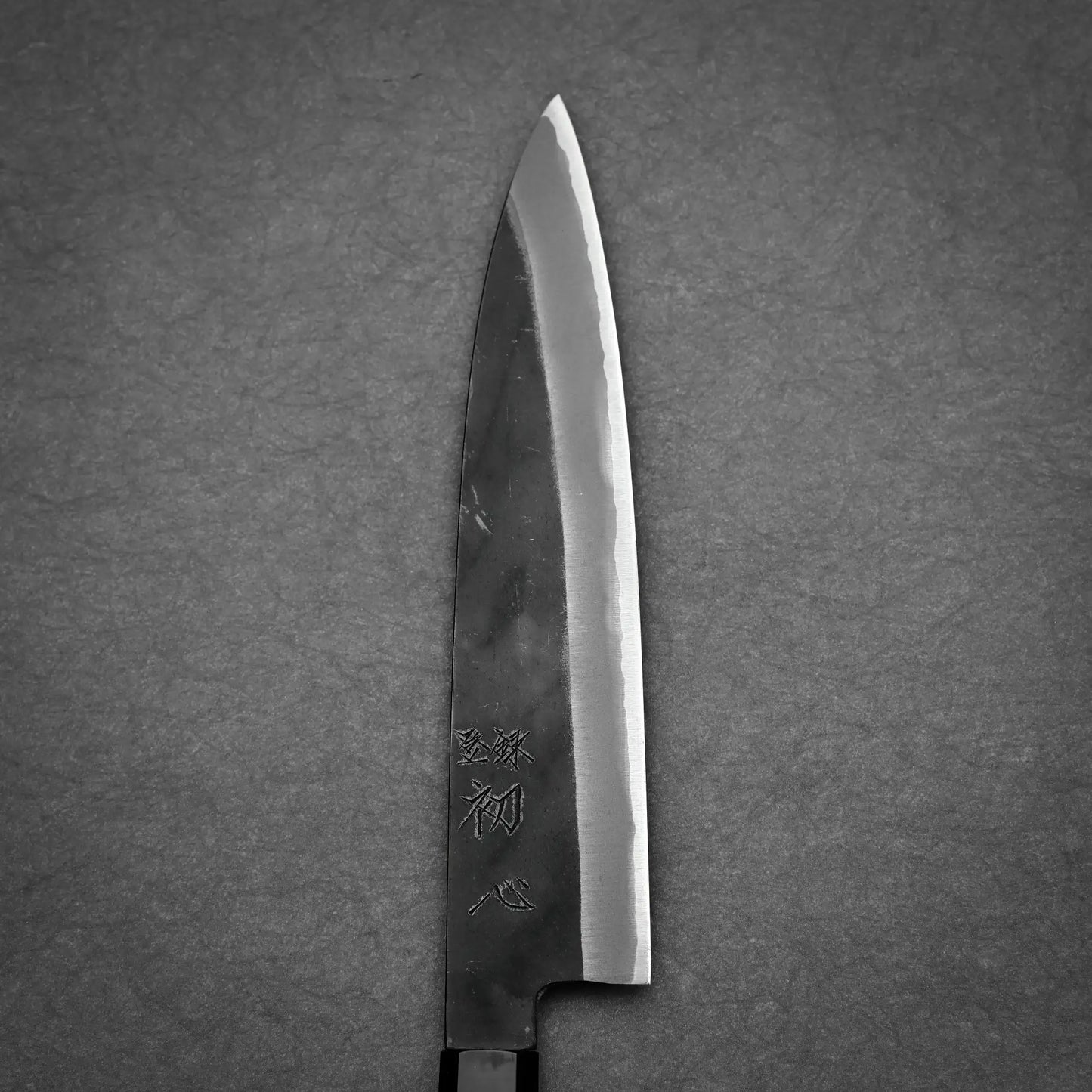 Hatsukokoro Aosagi kurouchi aogami#2 gyuto knife 210mm showing right side view 