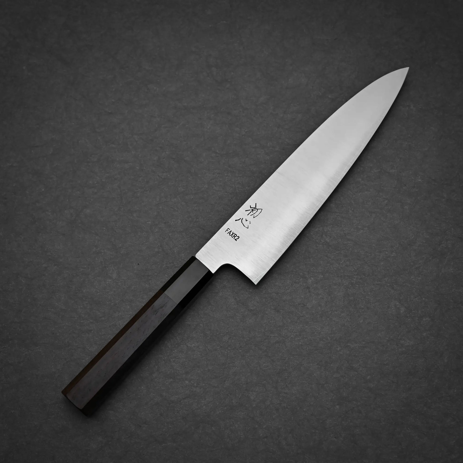 210mm Hatsukokoro FAXR2 gyuto knife showing full profile