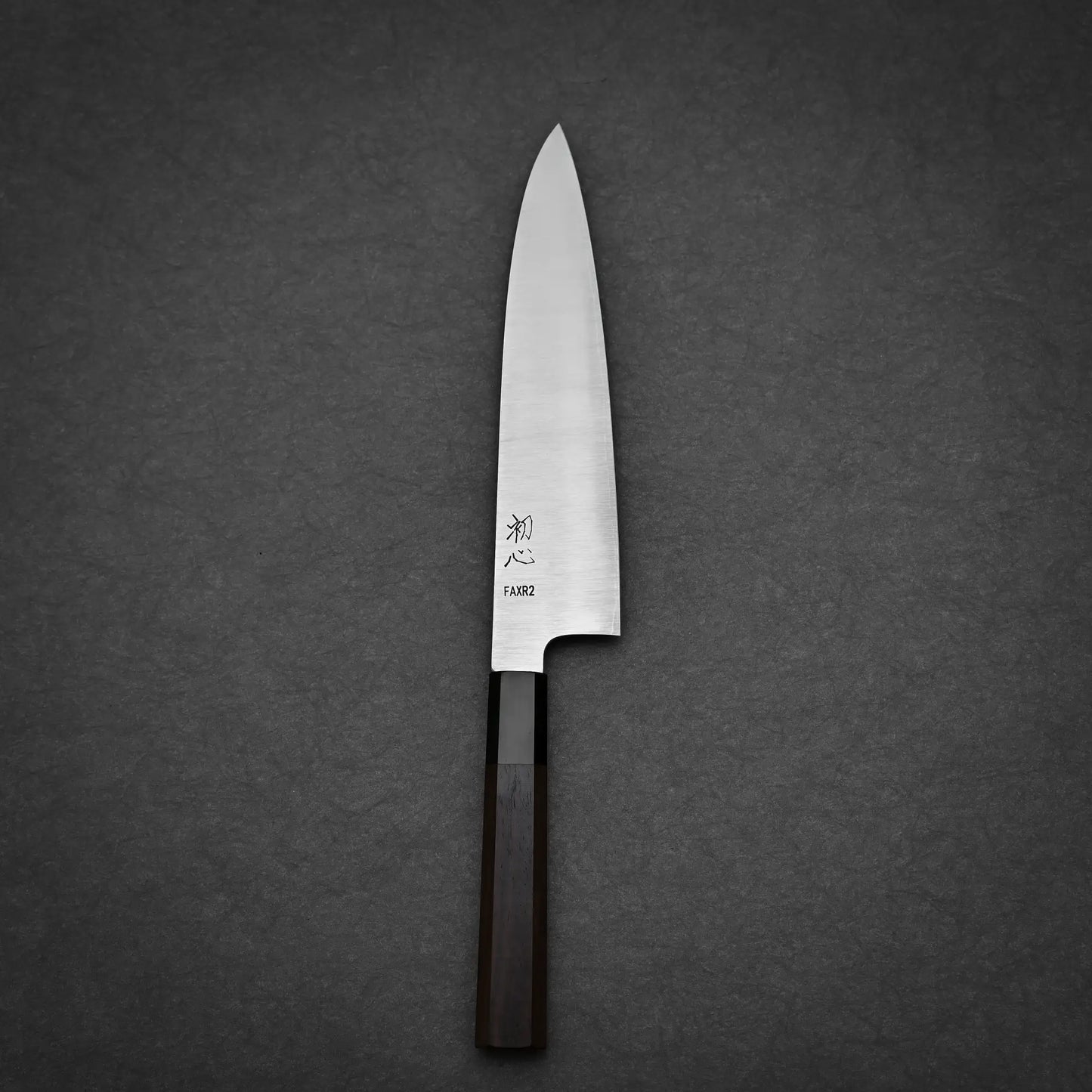 210mm Hatsukokoro FAXR2 gyuto knife showing full profile view